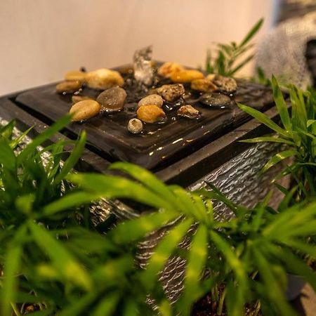 Apartment Mimoza سيفِسوارا المظهر الخارجي الصورة